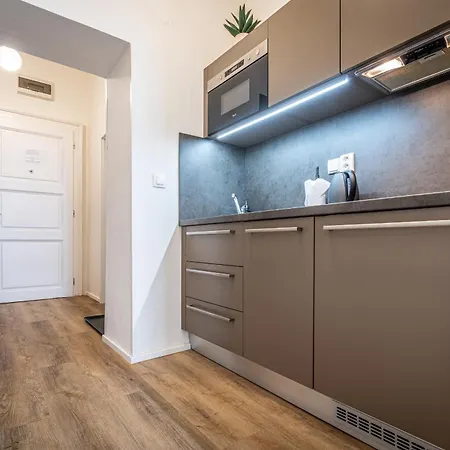 中央公寓酒店 公寓 布尔诺