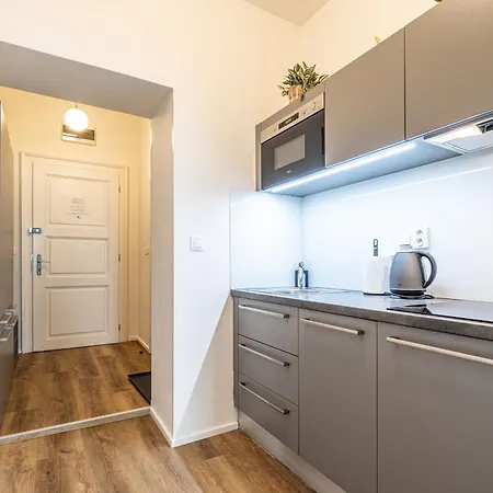 中央公寓酒店 公寓 布尔诺