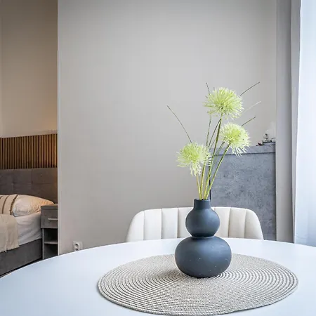 中央公寓酒店 公寓 布尔诺